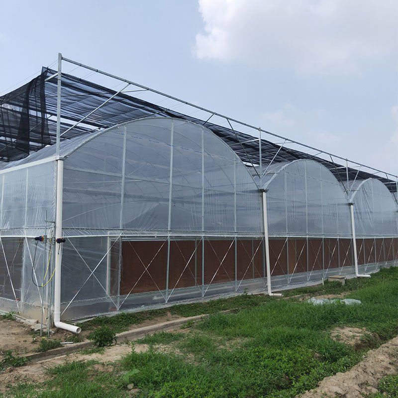 東興溫室工程